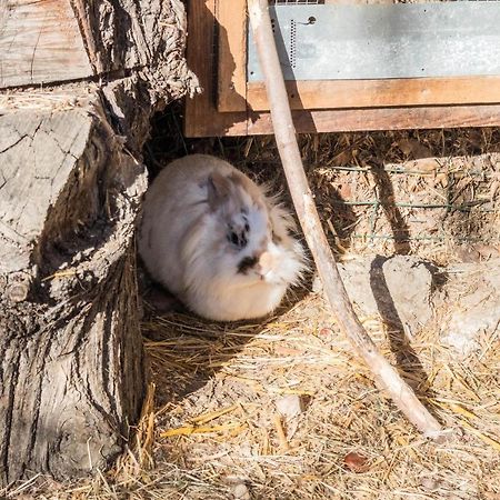 Oberegghof Ferienwohnung Garten Riffian Zewnętrze zdjęcie
