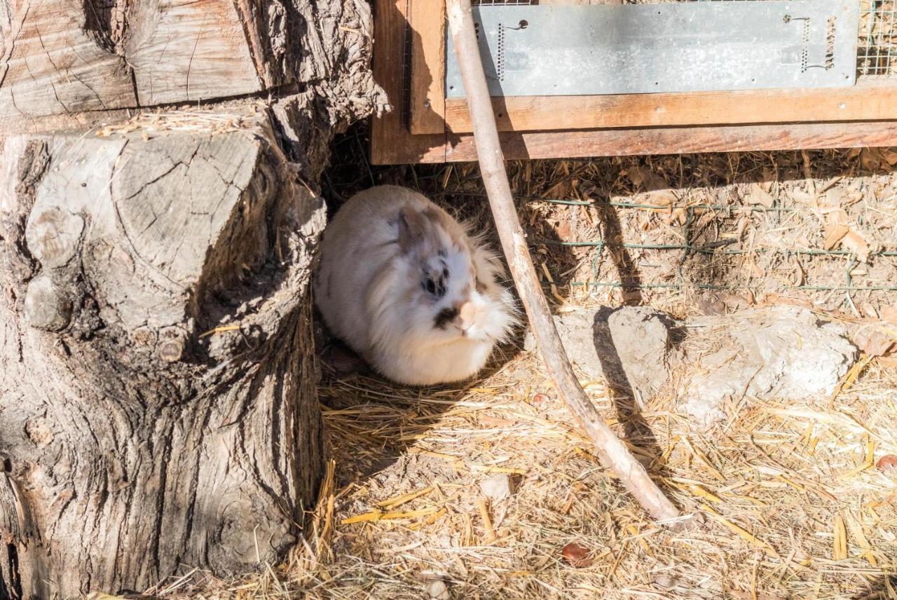 Oberegghof Ferienwohnung Garten Riffian Zewnętrze zdjęcie
